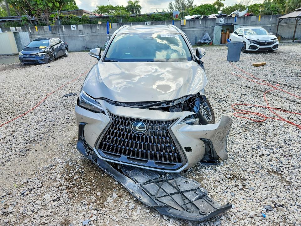 Aukcja sprzedaży 2025 Lexus Nx, vin: 2T2GDCAZ5SC025644, numer aukcji: 65125466