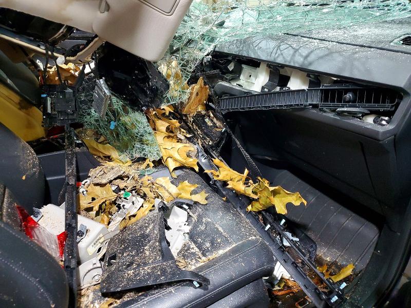 Aukcja sprzedaży 2024 Honda Cr-v, vin: 5J6RS3H73RL003050, numer aukcji: 66962236