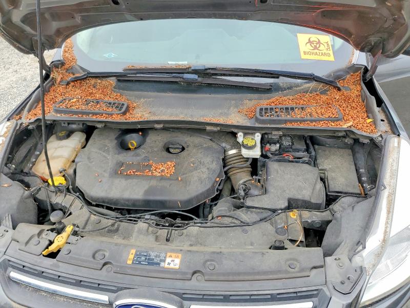 Продаж на аукціоні авто 2016 Ford Escape, vin: 1FMCU9G92GUC60666, номер лоту: 64757936