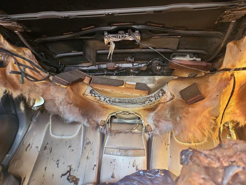 66817746 :رقم المزاد ، 2T2BK1BA4BC081104 vin ، 2011 Lexus Rx مزاد بيع