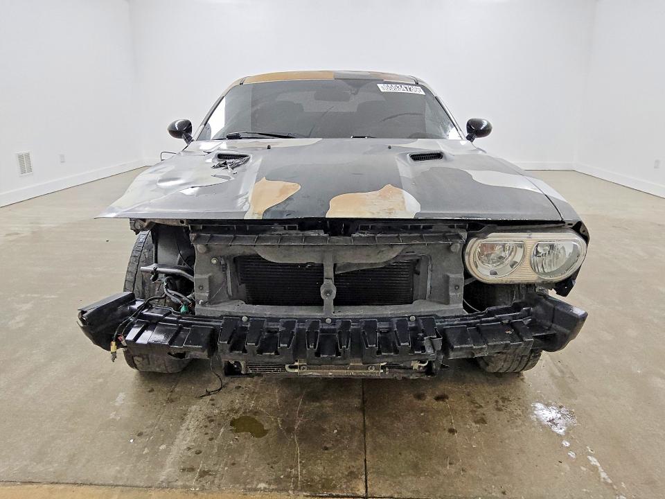 Продаж на аукціоні авто 2010 Dodge Challenger, vin: 2B3CJ5DT4AH318651, номер лоту: 65534736
