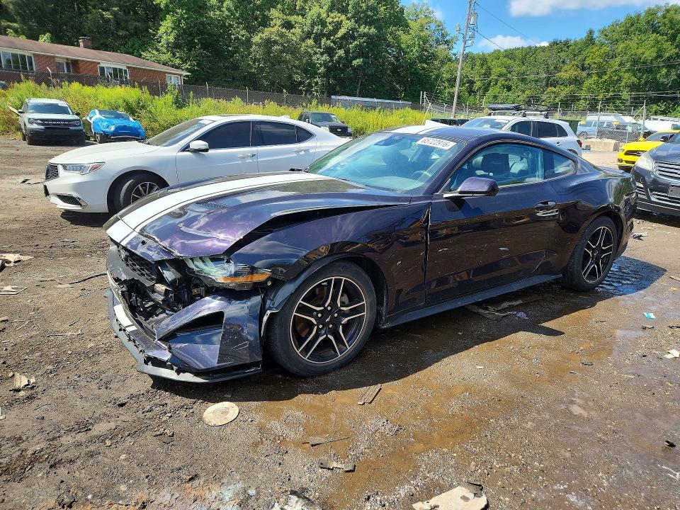 Продаж на аукціоні авто 2023 Ford Mustang, vin: 1FA6P8TH8P5101621, номер лоту: 65722916