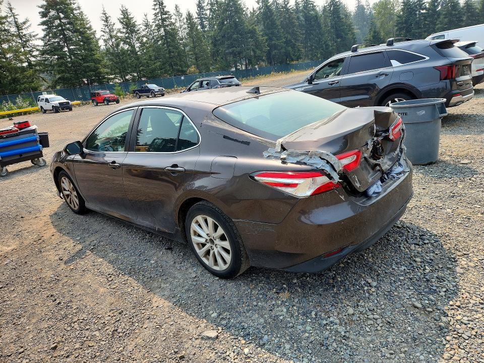 Продаж на аукціоні авто 2019 Toyota Camry, vin: 4T1B11HK1KU850034, номер лоту: 59137896
