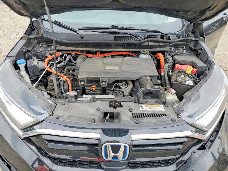 Auction sale of the 2020 Honda Cr-v, vin: 7FART6H89LE002898, lot number: 65116616