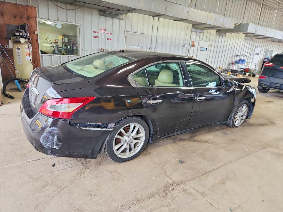 Продаж на аукціоні авто 2010 Nissan Maxima, vin: 1N4AA5AP1AC828512, номер лоту: 64019286