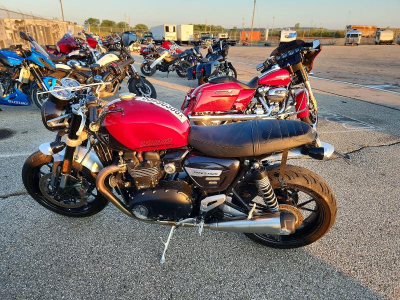 65890386 :رقم المزاد ، SMTD54HF6RTBN9401 vin ، 2024 Triumph Motorcycle Speed Twin مزاد بيع