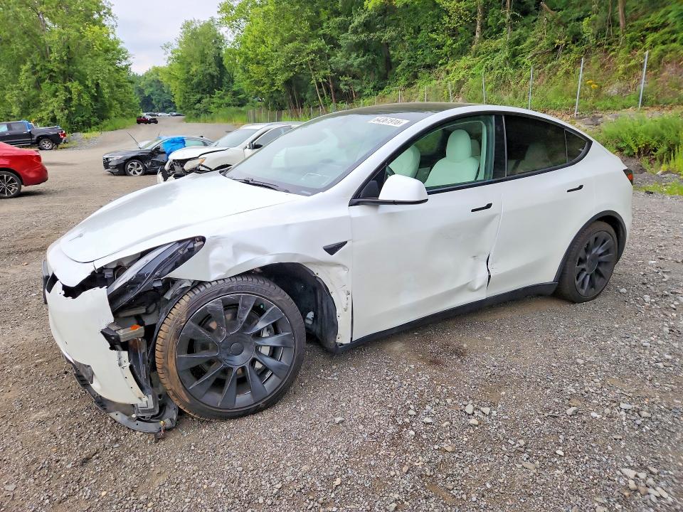 Продажа на аукционе авто 2021 Tesla Model Y, vin: 5YJYGDEE5MF085211, номер лота: 64361916