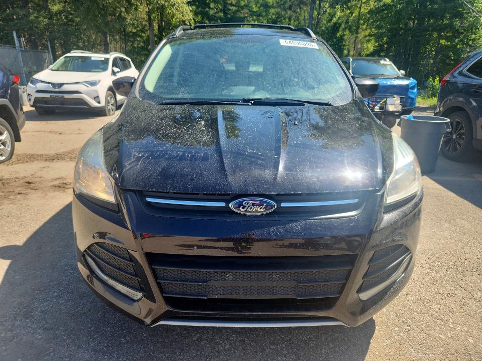 64595096 :رقم المزاد ، 1FMCU0GXXDUD12857 vin ، 2013 Ford Escape مزاد بيع