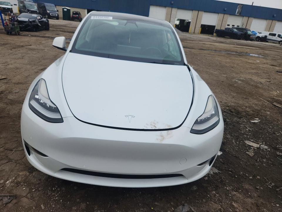 Aukcja sprzedaży 2021 Tesla Model Y, vin: 5YJYGAEE7MF186376, numer aukcji: 64450386