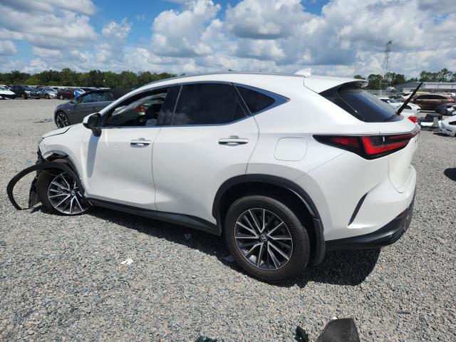65522156 :رقم المزاد ، 2T2GDCAZ8RC009061 vin ، 2024 Lexus Nx مزاد بيع