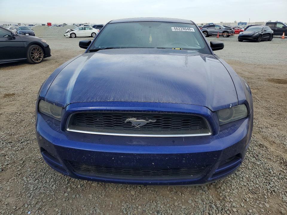 66228046 :رقم المزاد ، 1ZVBP8AM0E5262872 vin ، 2014 Ford Mustang مزاد بيع