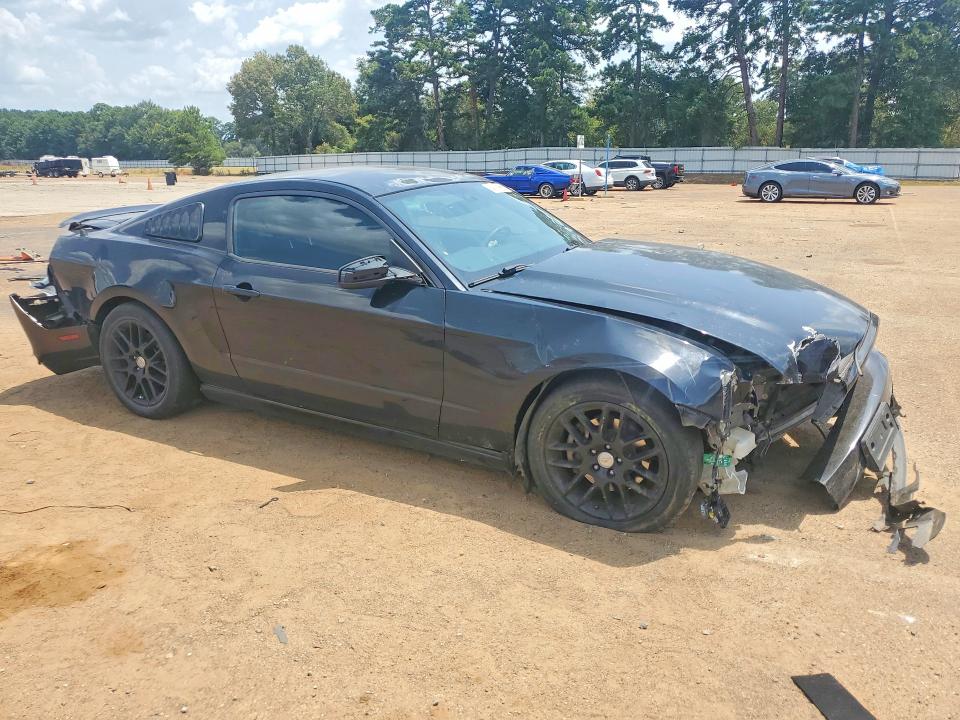 Продаж на аукціоні авто 2014 Ford Mustang, vin: 1ZVBP8AM3E5309683, номер лоту: 64025066