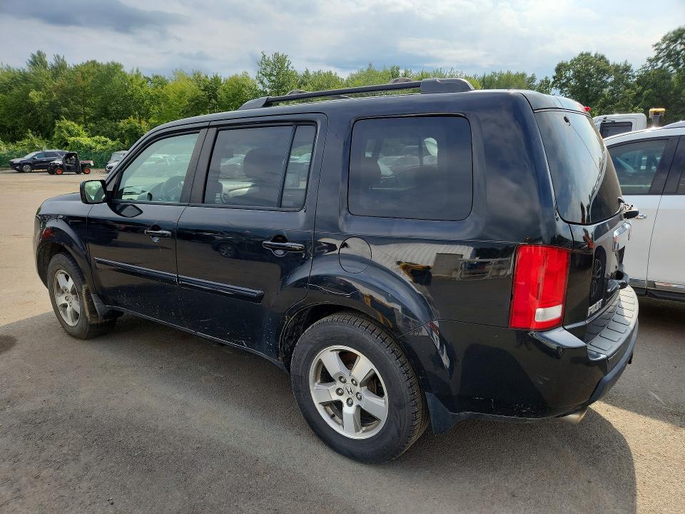 66973106 :رقم المزاد ، 5FNYF48589B052824 vin ، 2009 Honda Pilot مزاد بيع
