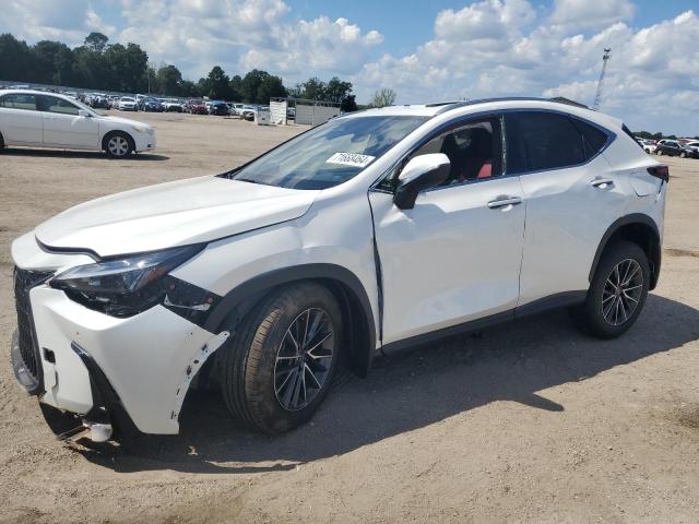71668464 :رقم المزاد ، JTJGDCAZXS2018351 vin ، 2025 Lexus Nx 250 Pre مزاد بيع