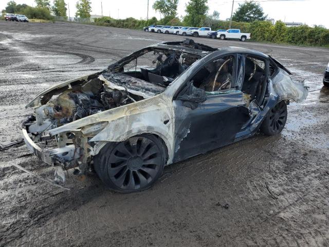 Продажа на аукционе авто 2022 Tesla Model  Y, vin: 7SAYGDEF4NF563776, номер лота: 72804924