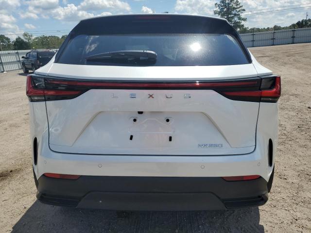 71668464 :رقم المزاد ، JTJGDCAZXS2018351 vin ، 2025 Lexus Nx 250 Pre مزاد بيع