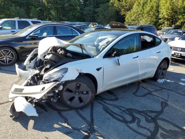 49789906 :رقم المزاد ، 5YJ3E1EA1PF473407 vin ، 2023 Tesla Model 3 مزاد بيع