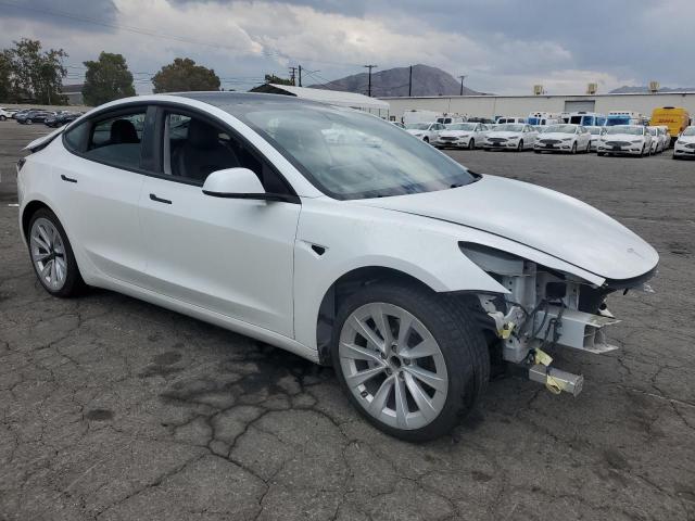 Продаж на аукціоні авто 2021 Tesla Model 3, vin: 5YJ3E1EA1MF001364, номер лоту: 81293675