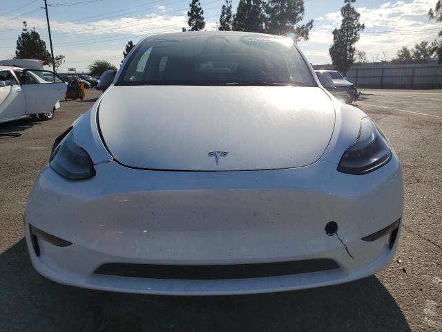 Продаж на аукціоні авто 2023 Tesla Model Y, vin: 7SAYGDEE8PF875593, номер лоту: 81567485