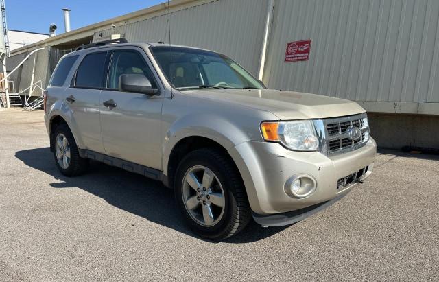 2012 Ford Escape Xlt მანქანა იყიდება აუქციონზე, vin: 1FMCU0D77CKB96550, აუქციონის ნომერი: 81317955