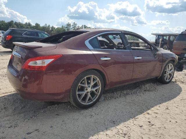 Продаж на аукціоні авто 2010 Nissan Maxima, vin: 1N4AA5AP9AC851164, номер лоту: 80085745