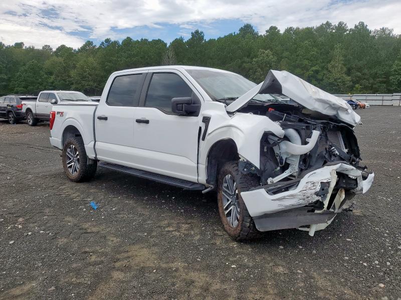 2023 Ford F150 მანქანა იყიდება აუქციონზე, vin: 1FTEW1EP9PFC31731, აუქციონის ნომერი: 80655184
