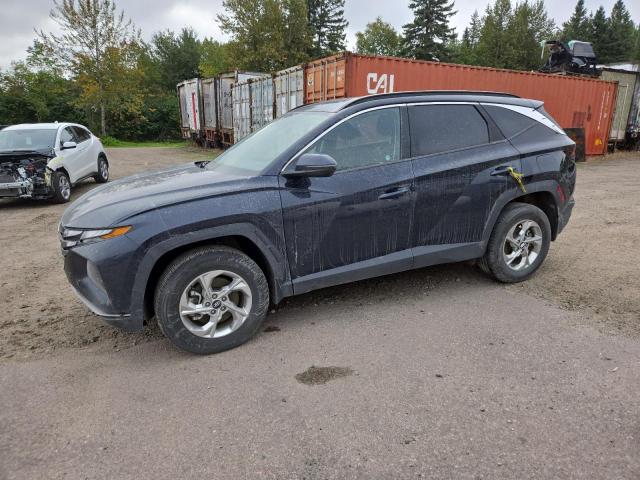 2023 Hyundai Tucson მანქანა იყიდება აუქციონზე, vin: KM8JBCAE3PU215428, აუქციონის ნომერი: 65678545