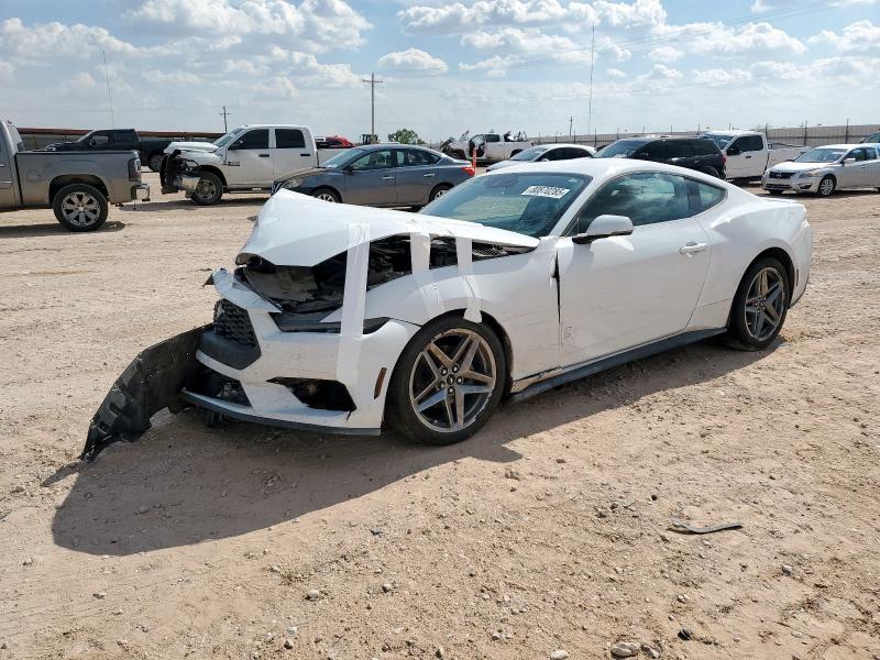 78241415 :رقم المزاد ، 1FA6P8TH3R5111640 vin ، 2024 Ford Mustang مزاد بيع