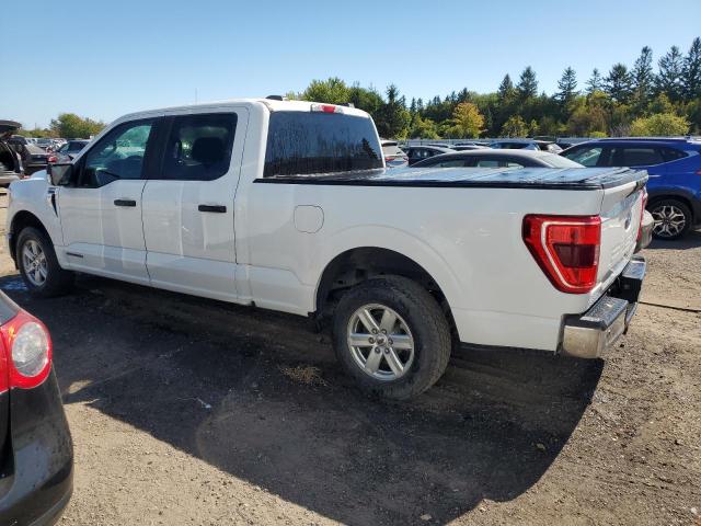 Продажа на аукционе авто 2021 Ford F150, vin: 1FTFW1CD5MFB18948, номер лота: 71971195