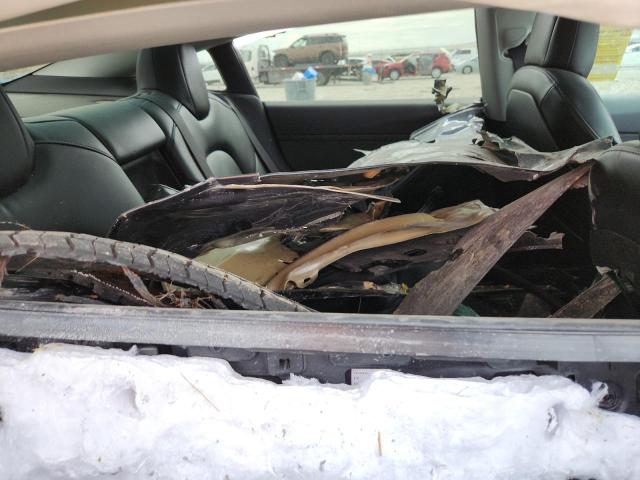 2021 Tesla Model 3 მანქანა იყიდება აუქციონზე, vin: 5YJ3E1EC9MF033979, აუქციონის ნომერი: 81389035