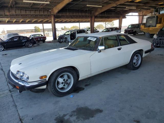 71306185 :رقم المزاد ، SAJNV5845EC113297 vin ، 1984 Jaguar Xjs مزاد بيع