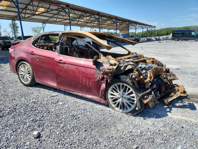 Продаж на аукціоні авто 2019 Toyota Camry, vin: 4T1B11HK1KU233801, номер лоту: 53813936