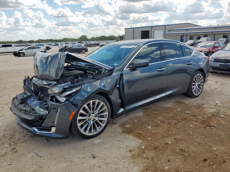 Aukcja sprzedaży 2022 Cadillac Ct5 Premiu, vin: 1G6DN5RK5N0135926, numer aukcji: 81553455
