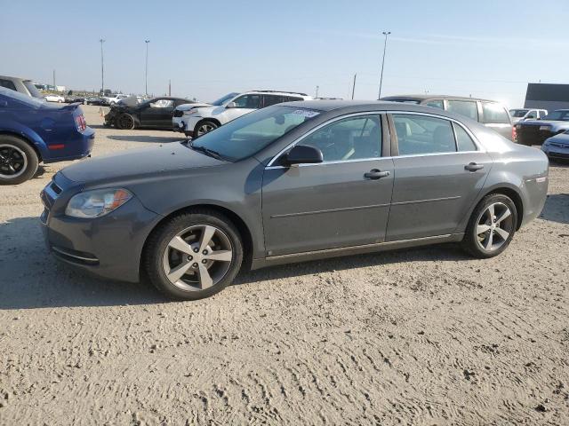 Aukcja sprzedaży 2009 Chevrolet Malibu 2lt, vin: 1G1ZJ57B39F144699, numer aukcji: 80307715
