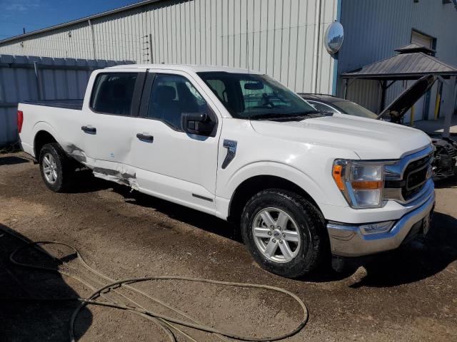 Продажа на аукционе авто 2021 Ford F150, vin: 1FTFW1CD5MFB18948, номер лота: 71971195