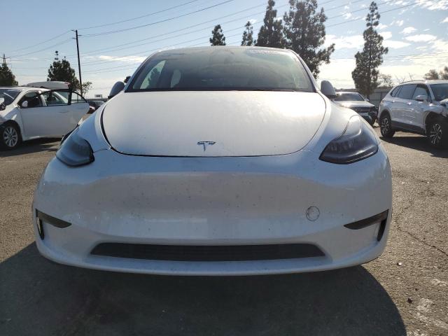 Продаж на аукціоні авто 2023 Tesla Model Y, vin: 7SAYGDEE8PF875593, номер лоту: 81567485