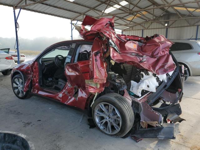 Продаж на аукціоні авто 2024 Tesla Model Y, vin: 7SAYGDEE2RA227134, номер лоту: 81385715
