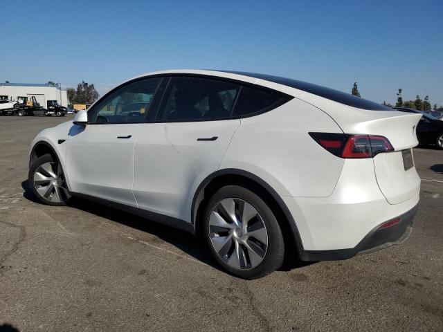 Продаж на аукціоні авто 2023 Tesla Model Y, vin: 7SAYGDEE8PF875593, номер лоту: 81567485