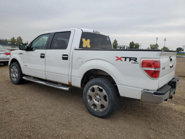 70914995 :رقم المزاد ، 1FTFW1ET2EFB23157 vin ، 2014 Ford F150 Super مزاد بيع