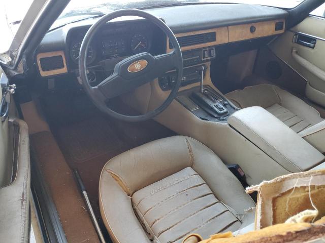71306185 :رقم المزاد ، SAJNV5845EC113297 vin ، 1984 Jaguar Xjs مزاد بيع