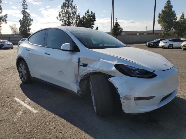 Продаж на аукціоні авто 2023 Tesla Model Y, vin: 7SAYGDEE8PF875593, номер лоту: 81567485