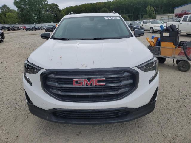 72080815 :رقم المزاد ، 3GKALTEV1KL100331 vin ، 2019 Gmc Terrain مزاد بيع