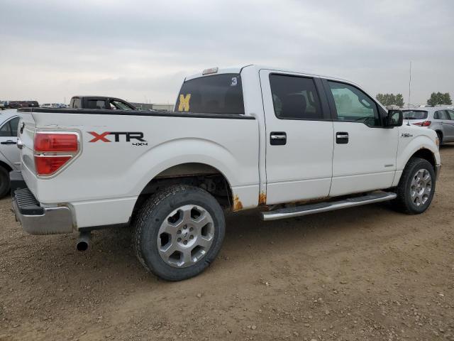 70914995 :رقم المزاد ، 1FTFW1ET2EFB23157 vin ، 2014 Ford F150 Super مزاد بيع