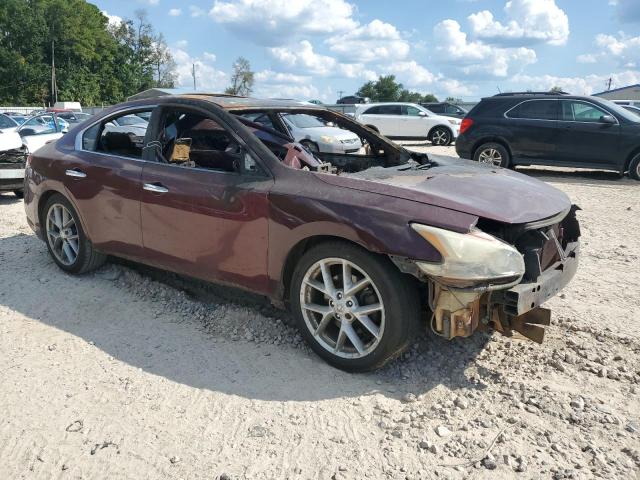 Продаж на аукціоні авто 2010 Nissan Maxima, vin: 1N4AA5AP9AC851164, номер лоту: 80085745