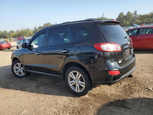 81206775 :رقم المزاد ، 5XYZK3AB1BG088427 vin ، 2011 Hyundai Santa Fe مزاد بيع