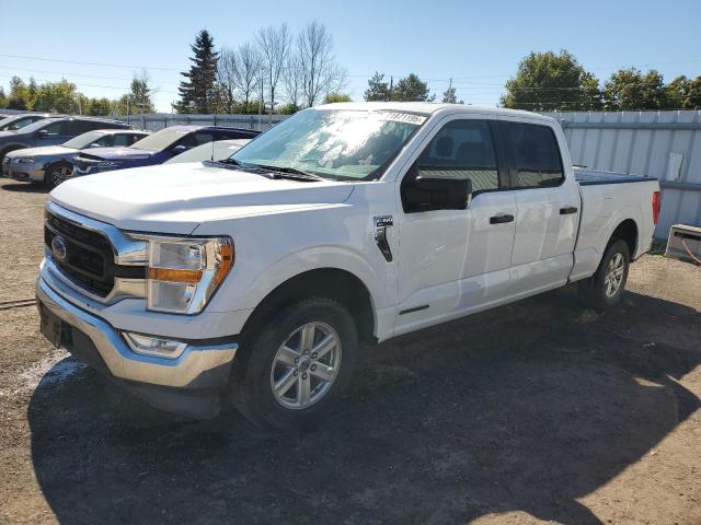 Продажа на аукционе авто 2021 Ford F150, vin: 1FTFW1CD5MFB18948, номер лота: 71971195