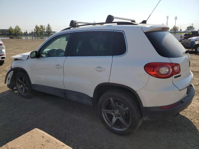 Aukcja sprzedaży 2011 Volkswagen Tiguan, vin: WVGBV7AX9BW508199, numer aukcji: 80304985