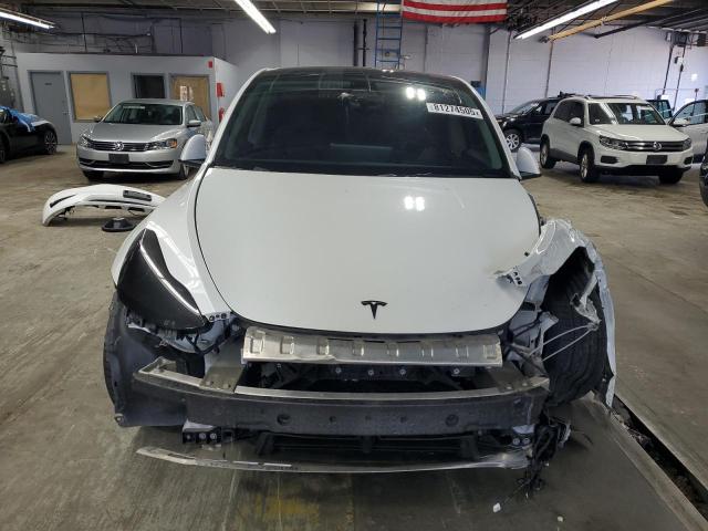 Продаж на аукціоні авто 2023 Tesla Model Y, vin: 7SAYGDEF5PF807728, номер лоту: 81274505