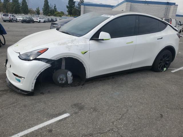 Aukcja sprzedaży 2025 Tesla Model Y, vin: 7SAYGDEE8SF218902, numer aukcji: 80534075