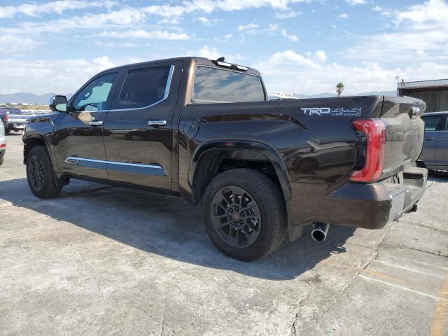 2025 Toyota Tundra Cre მანქანა იყიდება აუქციონზე, vin: 5TFMA5DB9SX317356, აუქციონის ნომერი: 81608265